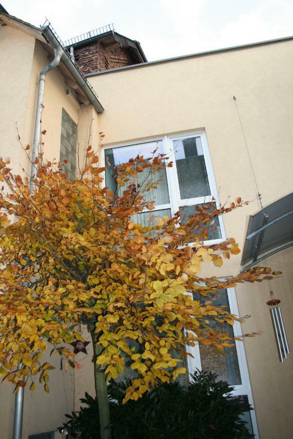 Apartpeterstor Монтабаур Екстериор снимка
